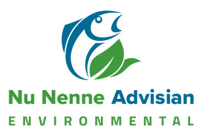 Nu Nenne Advisian Environmental logo
